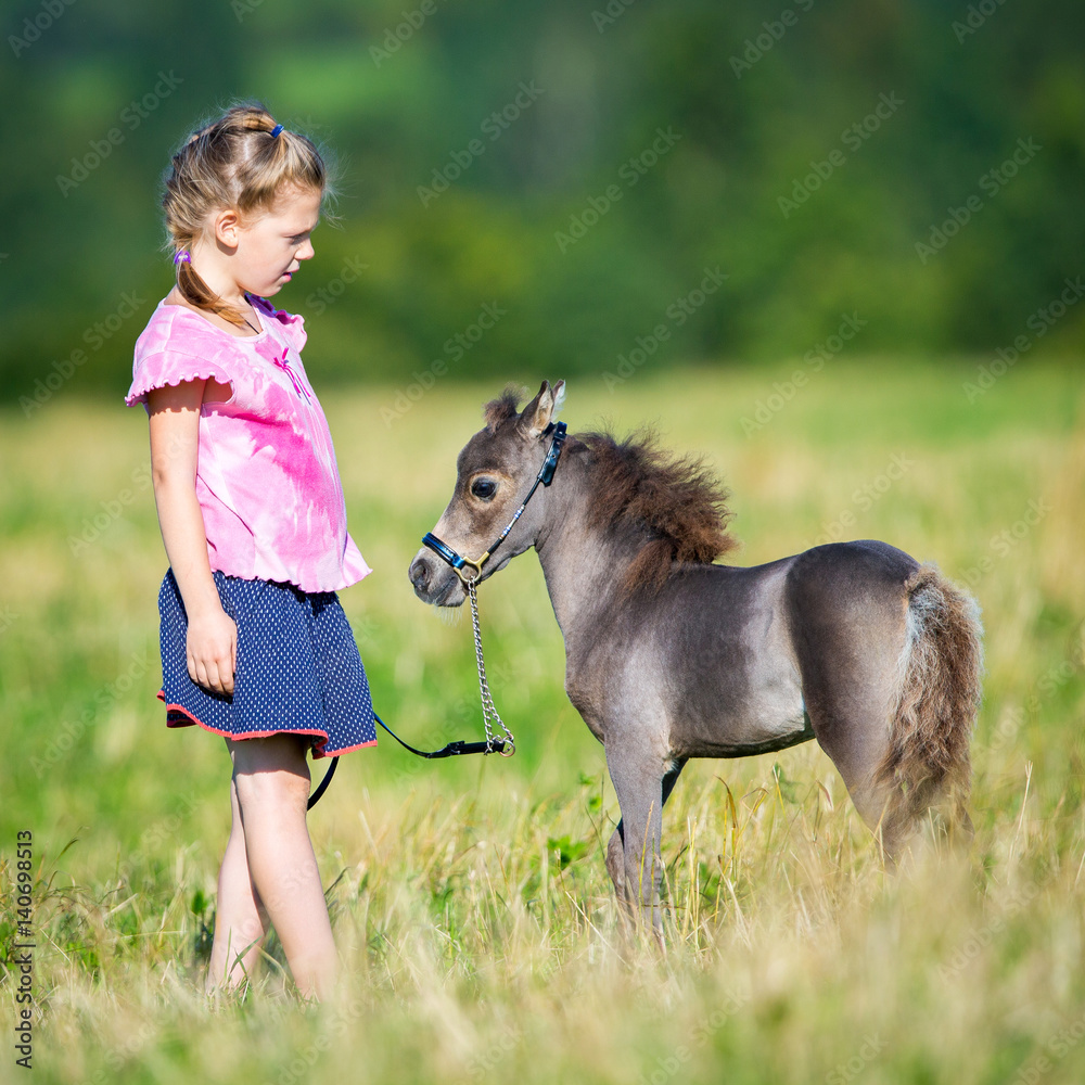 Small child with a small miniature horse in field. Girl and foal outdoors. Cute  mini horse and child in summertime Stock Photo | Adobe Stock, image size:1000x1000