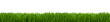 Gras Textur als Hintergrund Panorama