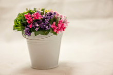 Colorful Flowers In White Bucket