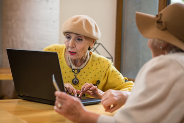 Senior ladies and laptop. Two old women indoors. Testing the touchpad.