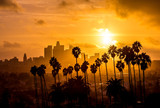 Fototapeta  - Los Angeles and Palm Trees Sunset