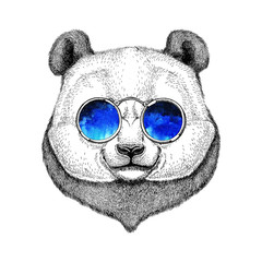 hipster panda cute bamboo bear image for tattoo, logo, emblem, badge design