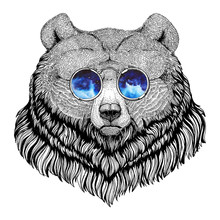 Grizzly Bear Hipster Style Animal Image For Tattoo, Logo, Emblem, Badge Design