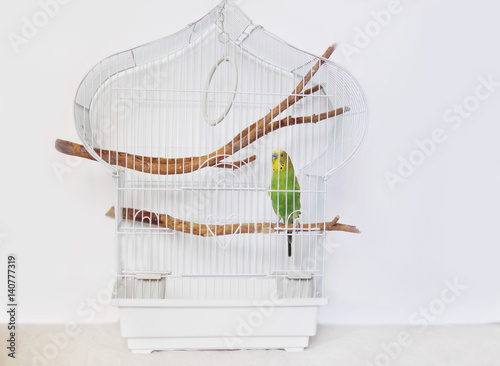 Fotografie, Obraz White cage with a bird on a white background