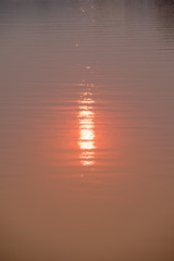 Wall Mural - shadow water of sunset