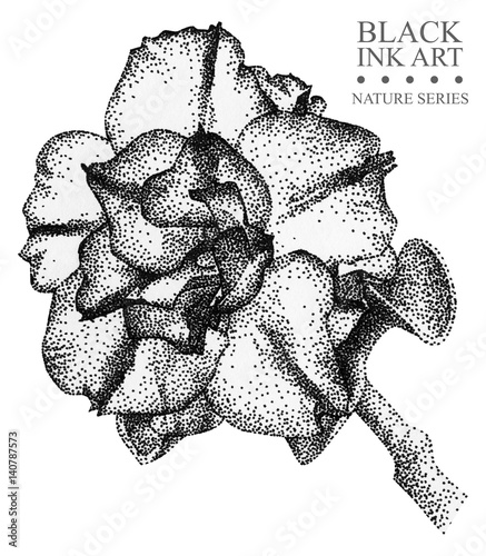 Illustration With Flower Azalea Drawn By Hand With Black Ink