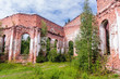 Russia, St. Petersburg, Priozersk, August 2016: Picturesque ruins