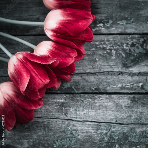 Obraz w ramie Bouquet of colorful tulips close up