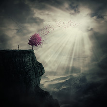 Young Man Standing On The Peak Of A Cliff Watching At A Strange, Purple Tree That Cast Its Leaves In The Wind Over Valley. The Tree Of Life Symbol, Journey And Discover.