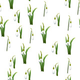 Fototapeta Tulipany - Seamless pattern with many snowdrops flowers with green stems and leaves same sizes. White background. Vector illustration