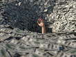 hand drowning in money