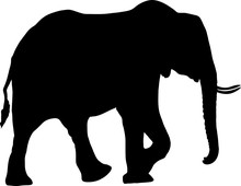 Silhouette Of A Desert Elephant - Digitally Hand Drawn Vector Illustration