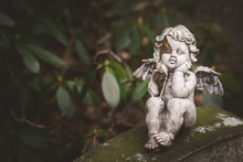 Little Broken Angel At Cemetery