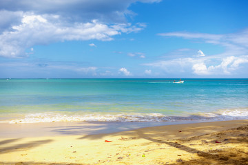 Wall Mural - Paradise on Earth. Caribbean empty sandy beach. 