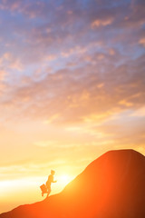 Wall Mural - silhouette of businesswoman