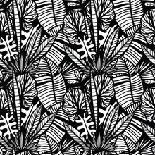Black And White Tropical Pattern With Exotic Plants. Seamless Vector Tropical Pattern With  Leaves.
