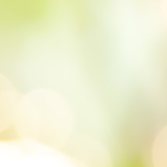 Wall Mural - Green bokeh on nature defocus art abstract blur background