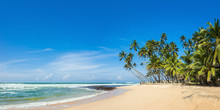 Panoramic View Of A Wild Tropical Beach In Southern Part Of Sri Lanka In Sunny Day.