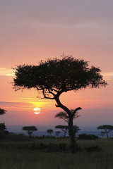 tramonto africano