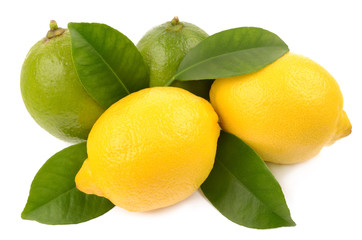 Wall Mural - lime and lemon on white background