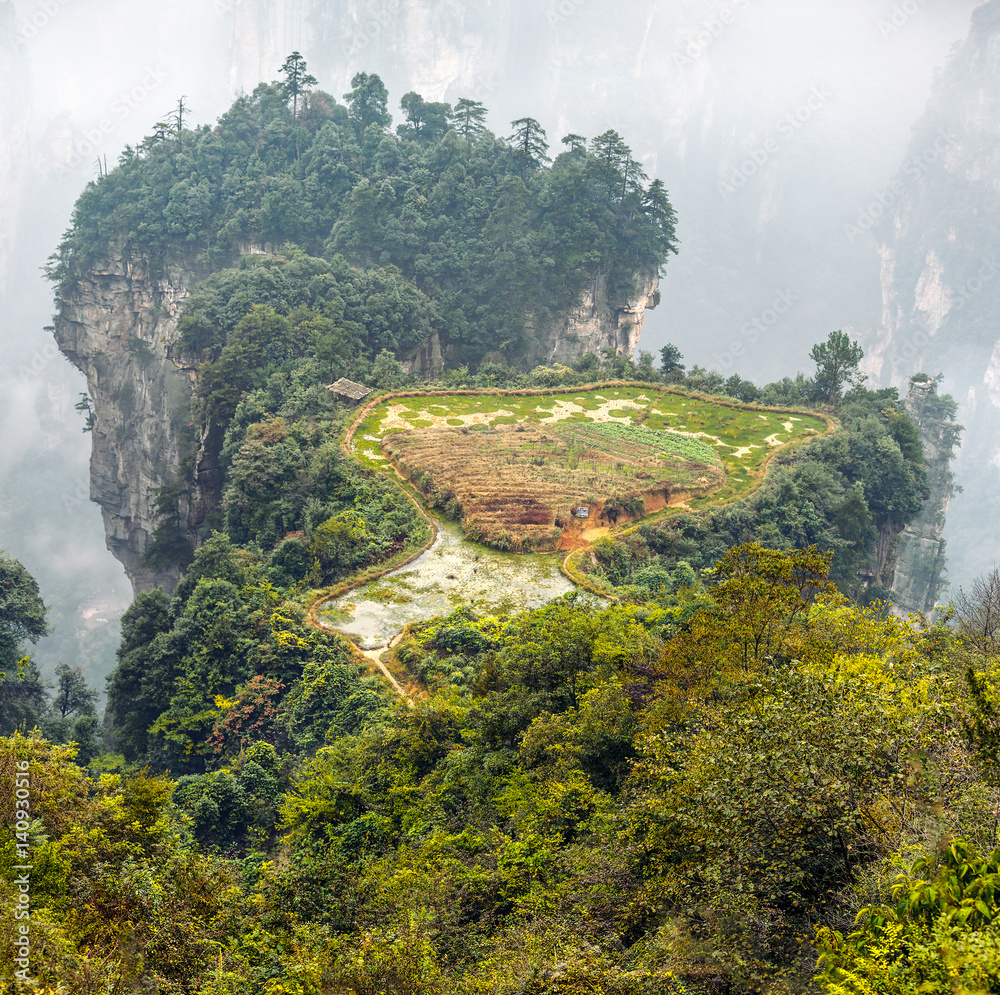 Foto de Stock Agricultural fields on top of the rock column mountain ...