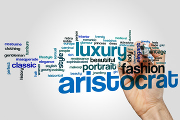 Wall Mural - Aristocrat word cloud concept on grey background