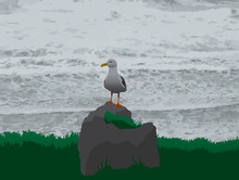 Seagull Is Resting On A Rock Near The Ocean