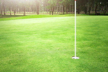 Wall Mural - Hole on green in golf course