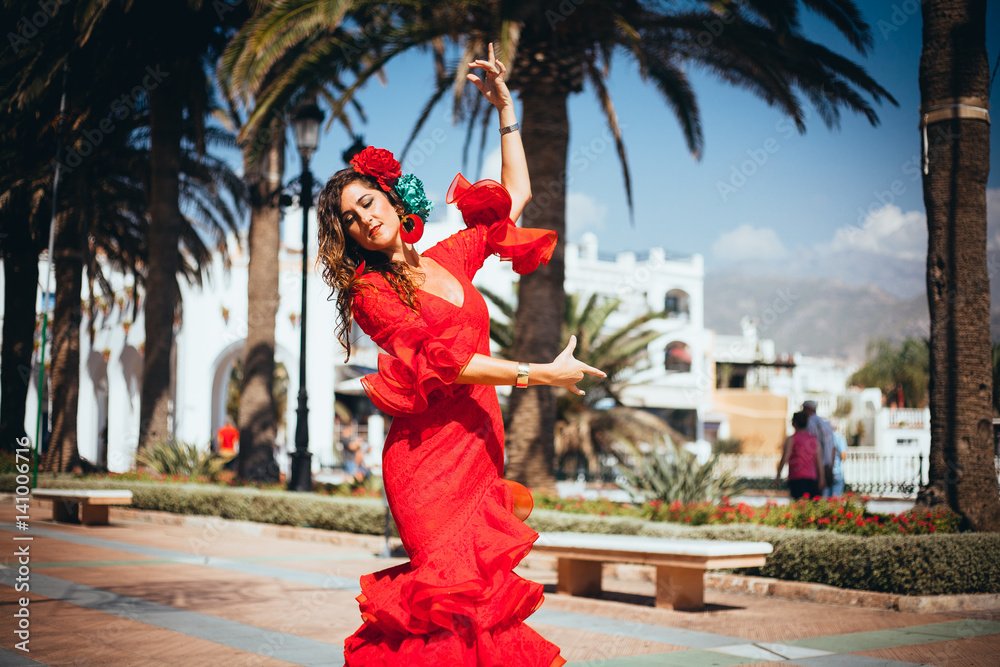 flamenco in spain - obrazy, fototapety, plakaty 