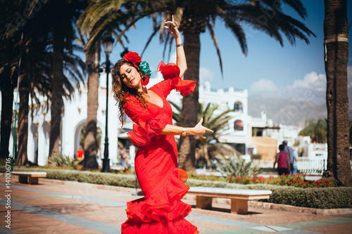 Photo  flamenco in spain
