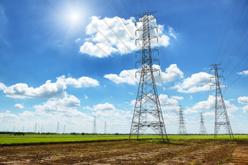 Wall Mural - high voltage post or high voltage tower in green field