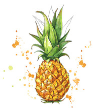 Juicy Pineapple With Splashes. Hand Drawn Illustration Of Tropical Fruit. Watercolor
