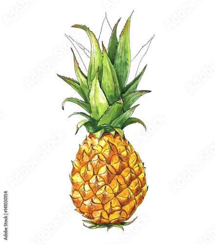 ilustracja-tropikalnego-owocu-ananas-na-bialym-tle
