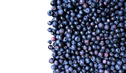 Wall Mural - blueberries