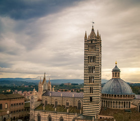 Wall Mural - tower and Church dome Siena
