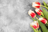Fototapeta Tulipany - Bouquet of red-white tulips on a light background. Top view, copy space.