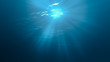 © vchalup - 3D rendered illustration of sun light rays under water.