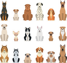 Set Vector Dogs