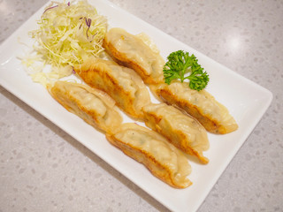 Gyoza dumplings with vegetables