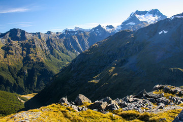 Canvas Print - New Zealand