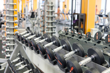 Wall Mural - Weights in a fitness hall