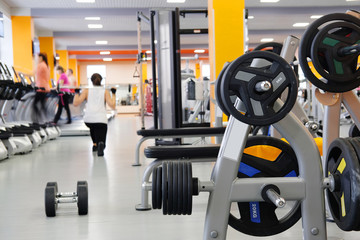 Wall Mural - Weights in a fitness hall