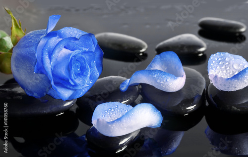 Tapeta ścienna na wymiar Spa stones and rose petals over black background