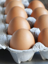 Eggs In Carton, Close Up