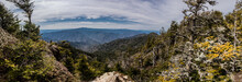 View From Mt LeConte Pano