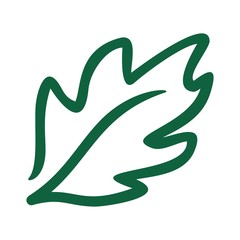 Wall Mural - leaf logo vector. oak leaf.