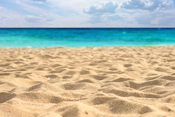 Canvas Print - sand beach