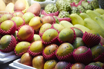 Canvas Print - tropical fruit 