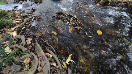 Wall Mural - Natural fresh water flowing over rocks autumn colors outdoors	 