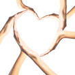 © wolfelarry - Human hands in heart shape isolated on white background